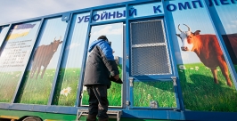 Первый и пока единственный передвижной убойный цех для скота появился в Бурятии Анна Огородник, UlanMedia