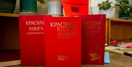 Красная книга Анна Огородник, UlanMedia