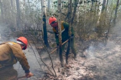 Пожары в Бурятии охватили почти 700 гектаров леса