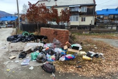 Жители продолжают оставлять мусор на старых местах, несмотря на новые правила Муя-инфо.24/7