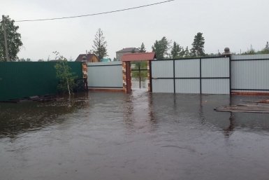Тематическая иллюстрация Анна Хвостова, ИА ChitaMedia