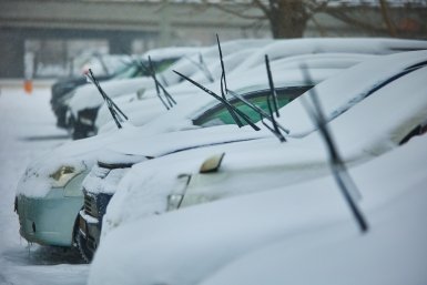 Новость дня