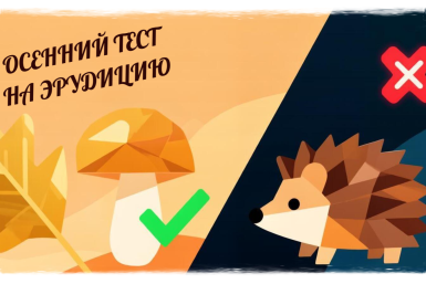 Факт или вымысел? Пройдите жаркую проверку на осеннюю эрудицию — тест