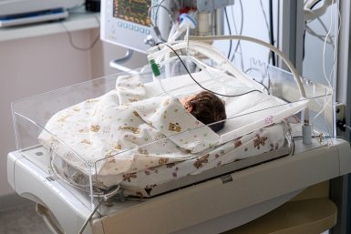 Тематическое фото Евгений  Кулешов, ИА PrimaMedia
