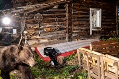 Новость дня