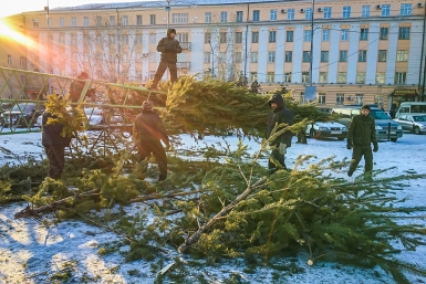 Установка елки Анна Огородник, ИА UlanMedia