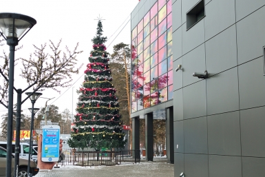 Елка рядом с ТРЦ People&quots Park Александра Данилова, UlanMedia
