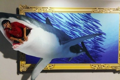 Выставка 3D картин Иллюзориум
