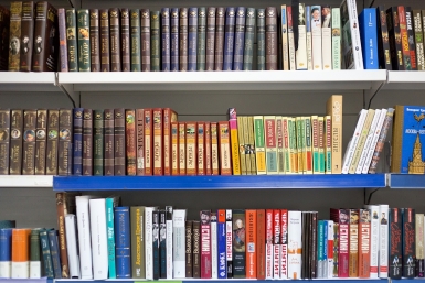 Книги Александра Данилова, UlanMedia