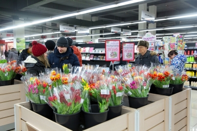Тюльпаны на любой вкус и цвет к Международному женскому дню Александра Данилова, UlanMedia
