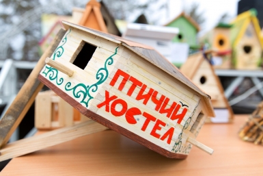 Для кочующих птиц улан-удэнский хостел Александра Данилова, UlanMedia