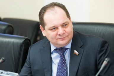Ростислав Гольдштейн council.gov.ru