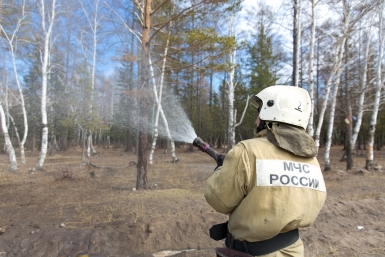 Площадь лесных пожаров в Бурятии выросла в пять раз Александра Данилова, UlanMedia