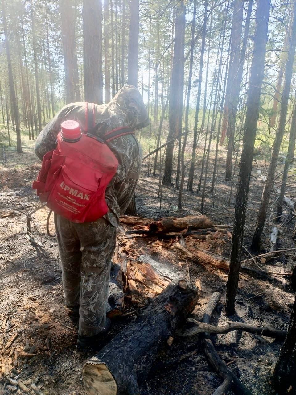 В Бурятии снова растёт площадь лесных пожаров